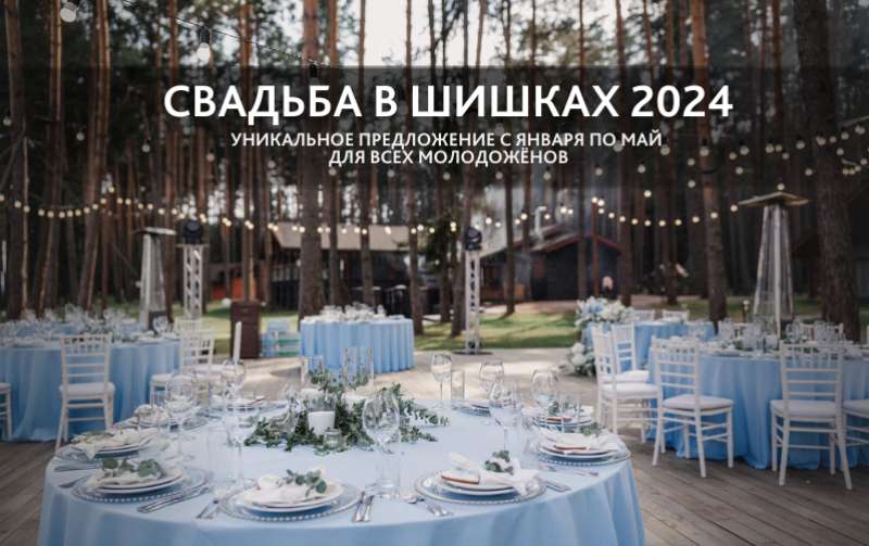 ШИШКИ ДАРЯТ ПОДАРОК МОЛОДОЖЕНАМ ВЕСНОЙ 2024