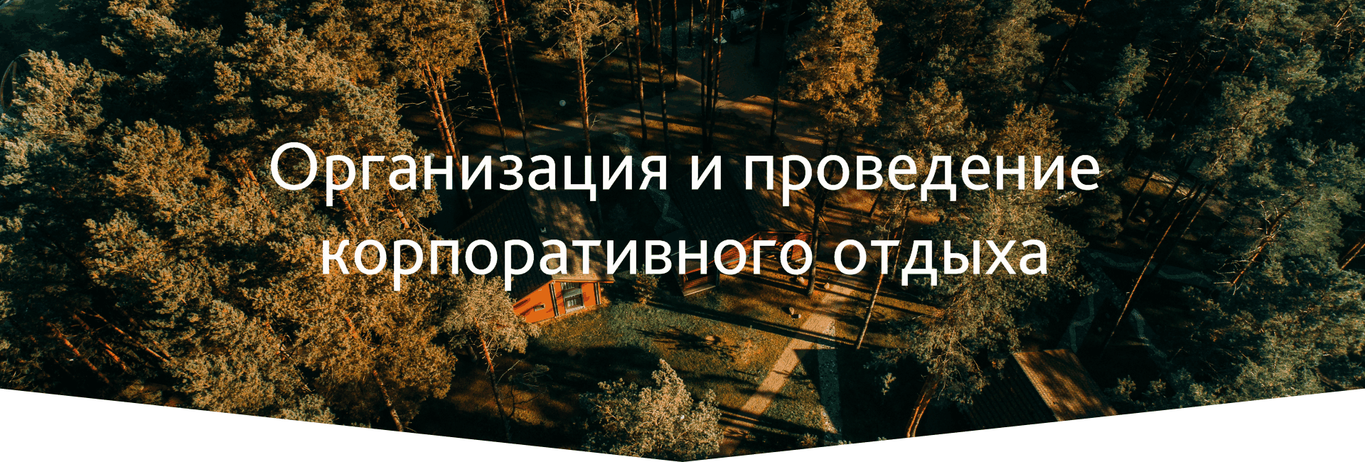 Организация и проведение корпоративнго отдыха в Шишках